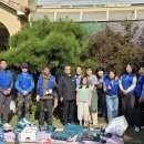 로뎀나무 이미지