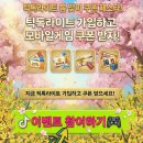 킹덤PC | 킹덤 클래시 역대급쿠폰 봄 개편 기념 3월 쿠폰 나왔다! 역대급쿠폰!!!