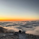 하얀천국 이미지