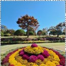 원주민원행정사사무소 이미지