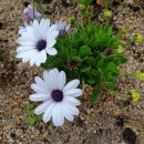 구름산책길 이미지