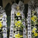 강금수 Daum카페