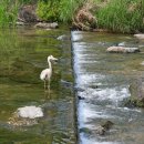 산책길-1 이미지