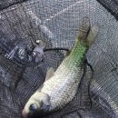 가남낚시터 이미지