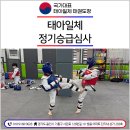 태아일체태권도센터 태권도장 | 태아일체 태권도장 정기승급심사 진행한 후기!