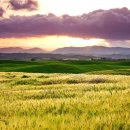 평원농장 이미지