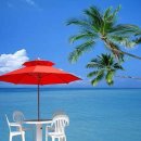 높은음자리 이미지