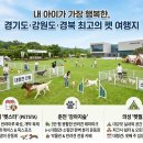 개린이날 티스토리