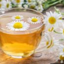 슬기로운미술교습소 이미지