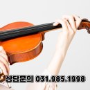 왕초보 바이올린 이미지