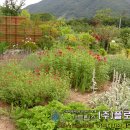 (주)플로시스 Daum카페