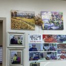 진도식당 이미지