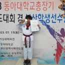 움찬태권도 이미지