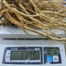 도화리농장 이미지