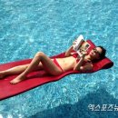 한가로이 이미지