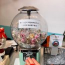 쇼미더뽑기 이미지