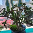 순아미용실 이미지