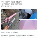 함길노 | 힘을 잃어버린 날개~🪽