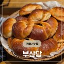 부산엔 | 부산 빵지순례 ! 대전엔 성심당 부산엔 부산당 내돈내산 솔직후기