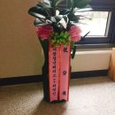 마사생활건강 이미지