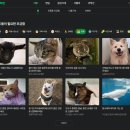 까치PC | 세번째 기부 네이버스토어 구매 결정 후 한달후기 작성시에도 해피빈 줘요! 해피빈 더 빨리 모으기 꿀팁