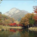 11월 08일(토) 내장산/백암산 단풍축제 이미지