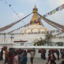 카르마코리아 이미지