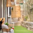 오늘스테이 이미지