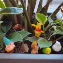 양덕동252 이미지