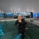 용인 죽전 아르피아 스포츠센터 스킨스쿠버 펀펀다이브클럽 스쿠버다이빙 오픈워터 자격증 강습 후기