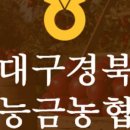 사과1번지