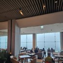 소노펠리체 델피노 이미지