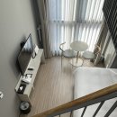 솔라고 명동 이미지