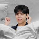 성진세탁 이미지