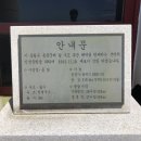 신등대펜션 네이버블로그