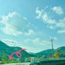 경주 은행나무 명소 ‘도리마을’ 경주 드라이브 가기 좋은 곳
