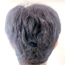 지성메디칼 | 가늘고 힘없는 남편 모발 구원템! 에끌무아 더블트러플 탈모케어 퍼퓸 샴푸 솔직 후기
