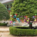 평창 오대산 사고 | 평창 오대산 월정사 (ft. 카페 청류다원 전통차, 전나무숲길)