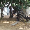 남은농장 이미지