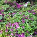 한경행정사사무소 이미지