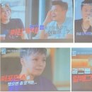 골든피누스 이미지