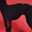 플레이하운드 이미지