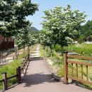 노근리평화공원(공원 주차장 화장실) 이미지