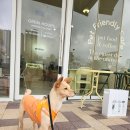 큣페이스 이미지