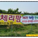 진선농장 이미지