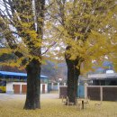 임실초등학교 이미지