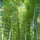 영일운수 이미지