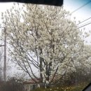 백령도홈마트 이미지