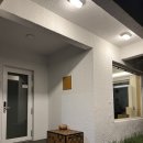 스테이 단밤 이미지