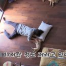 기분좋은민박 이미지